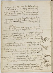 Code sur le vol des oiseaux, c. 1505-06, manuscrit sur papier, cc. 18, feuille 7 verso